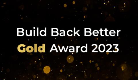 Build Back Better Awards Clevertronics Winners - Zoneworks XT HIVE