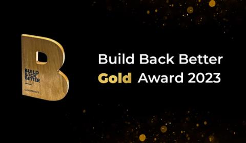 Build Back Better Awards Clevertronics Winners - Zoneworks XT HIVE